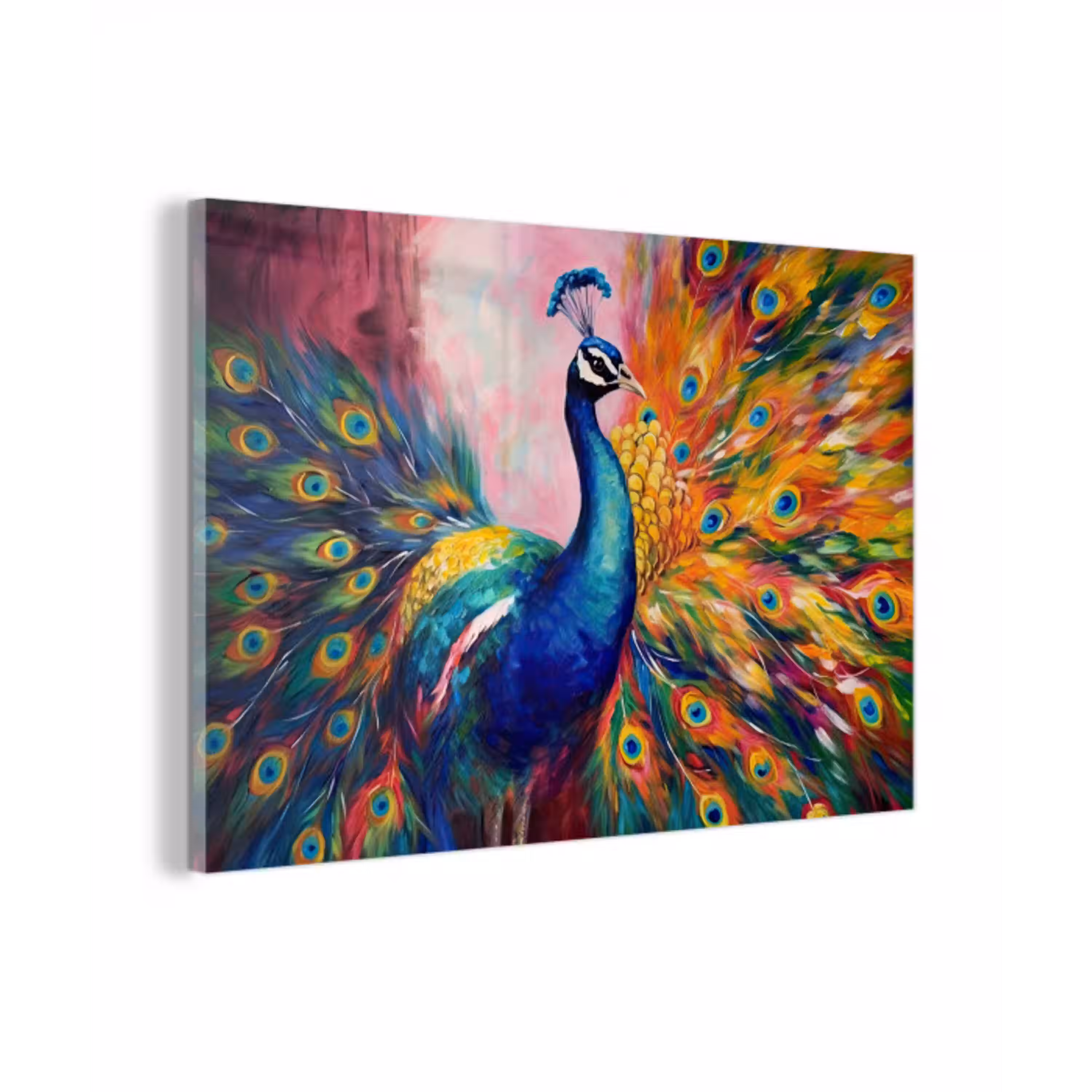 Pauw - Dieren - Schilderij - Regenboog plexiglas 5mm klein -z3d