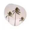 Palmbomen - Zonsondergang - Roze Wandcirkel Organisch Forex 3mm klein -3d