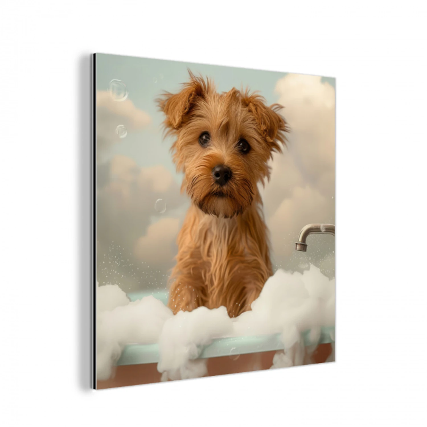 Hond - Bad - Dieren - Schuim aluminium wit klein -3d