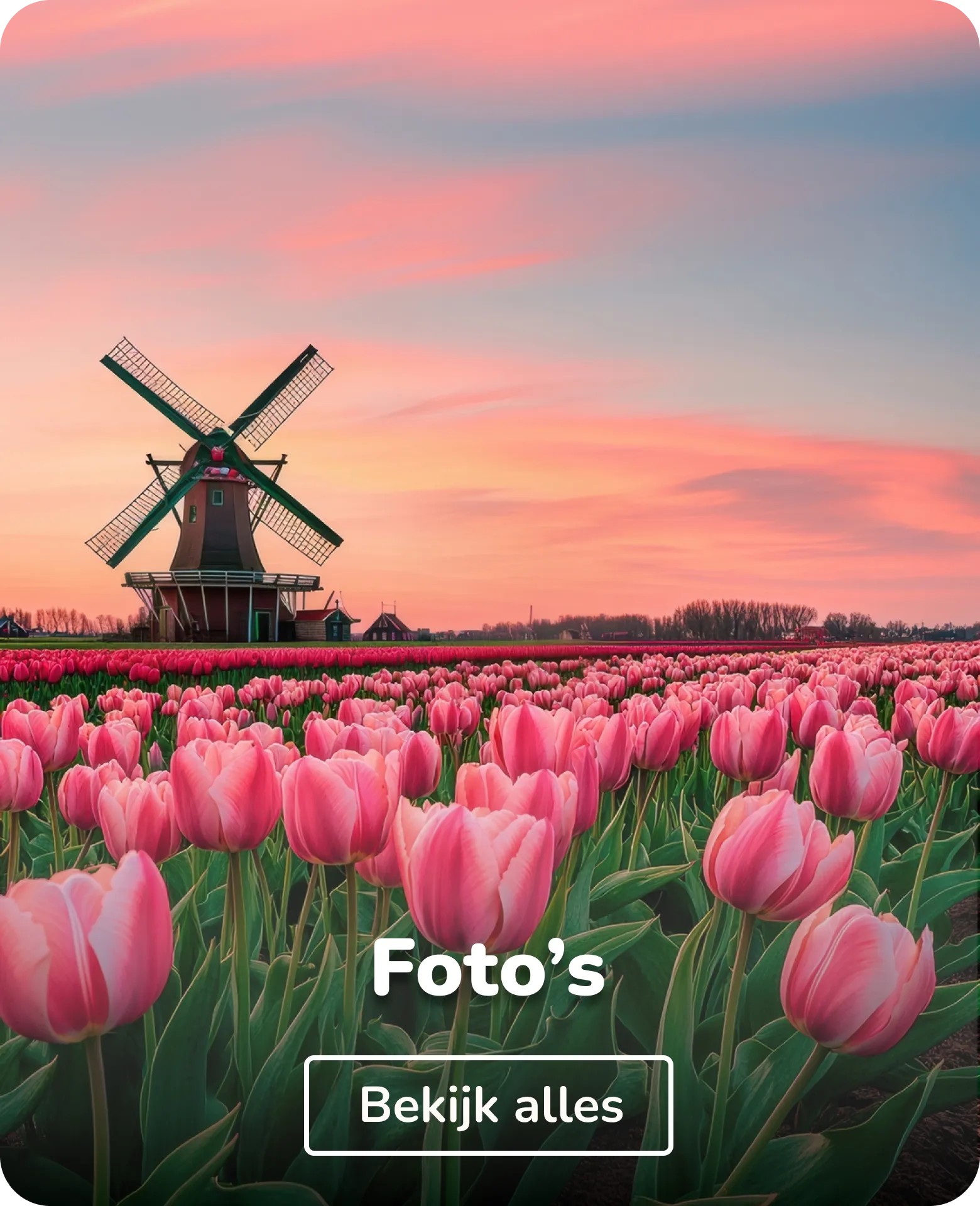 Vilt schilderijen foto's