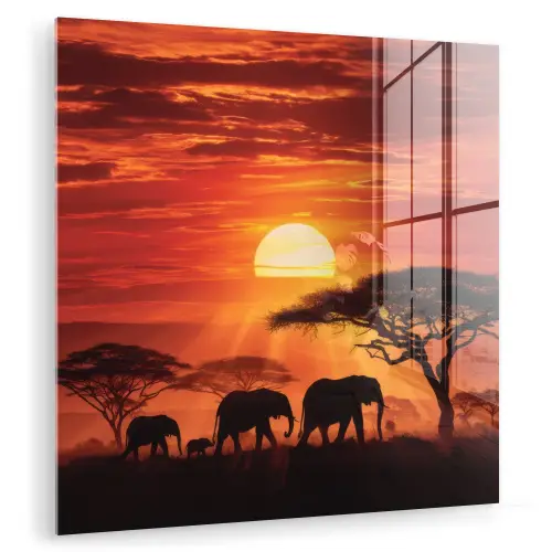 Savanne - Olifanten - Zonsondergang plexiglas 5mm klein -zzzproduct_nieuw