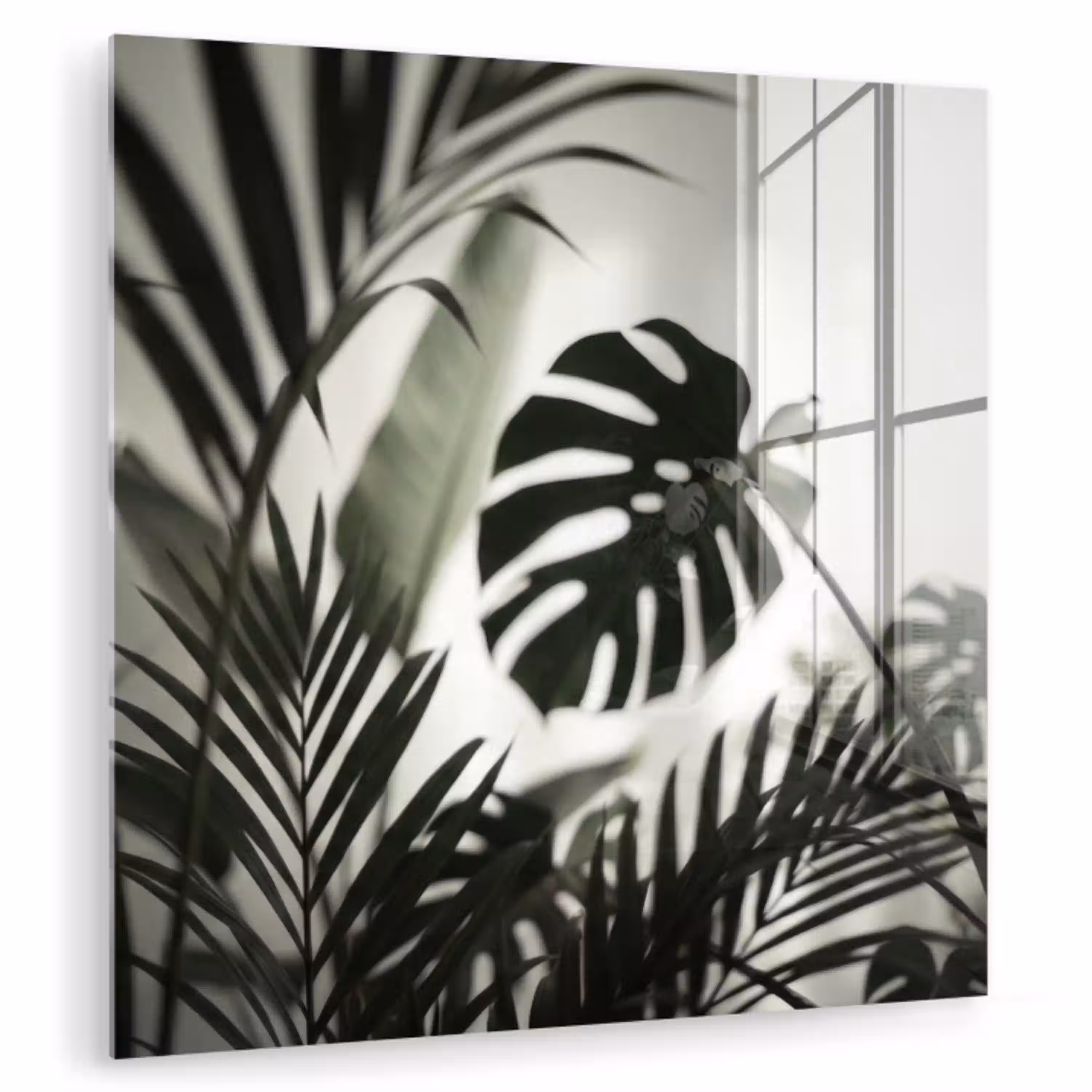 Planten - Bladeren - Natuur - Minimalistisch - Groen plexiglas 5mm klein -zzzproduct_nieuw