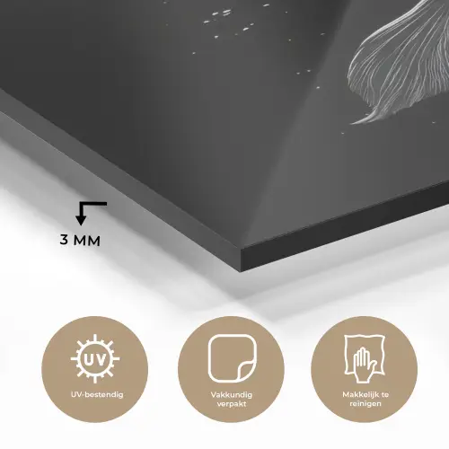 Koi - Vis - Wit - Zwart plexiglas 5mm klein -sfeer2
