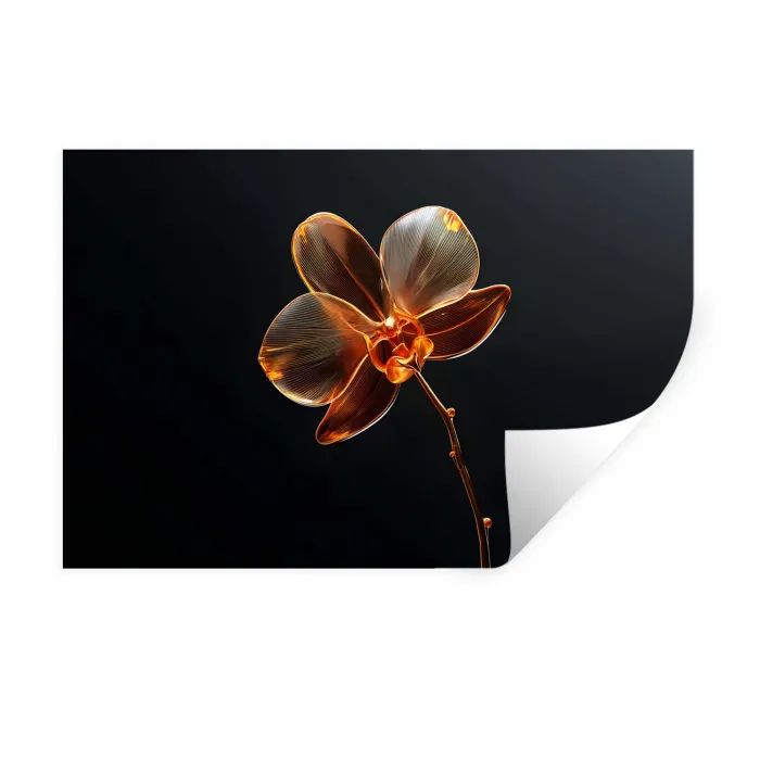 Orchidee - Doorzichtig - Bloem Muursticker klein -3d