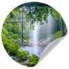 Jungle - Regenwoud - Water - Waterval - Planten Wandcirkel behangsticker klein -3d