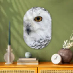 Sneeuwuil - Oog - Wildlife - Wit Wandcirkel Ovaal Forex klein -sfeer2
