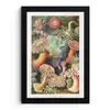 Ernst Haeckel - Anemoon - Retro - Natuur - Planten - Zee fotolijst zwart zonder passe partout klein -3d