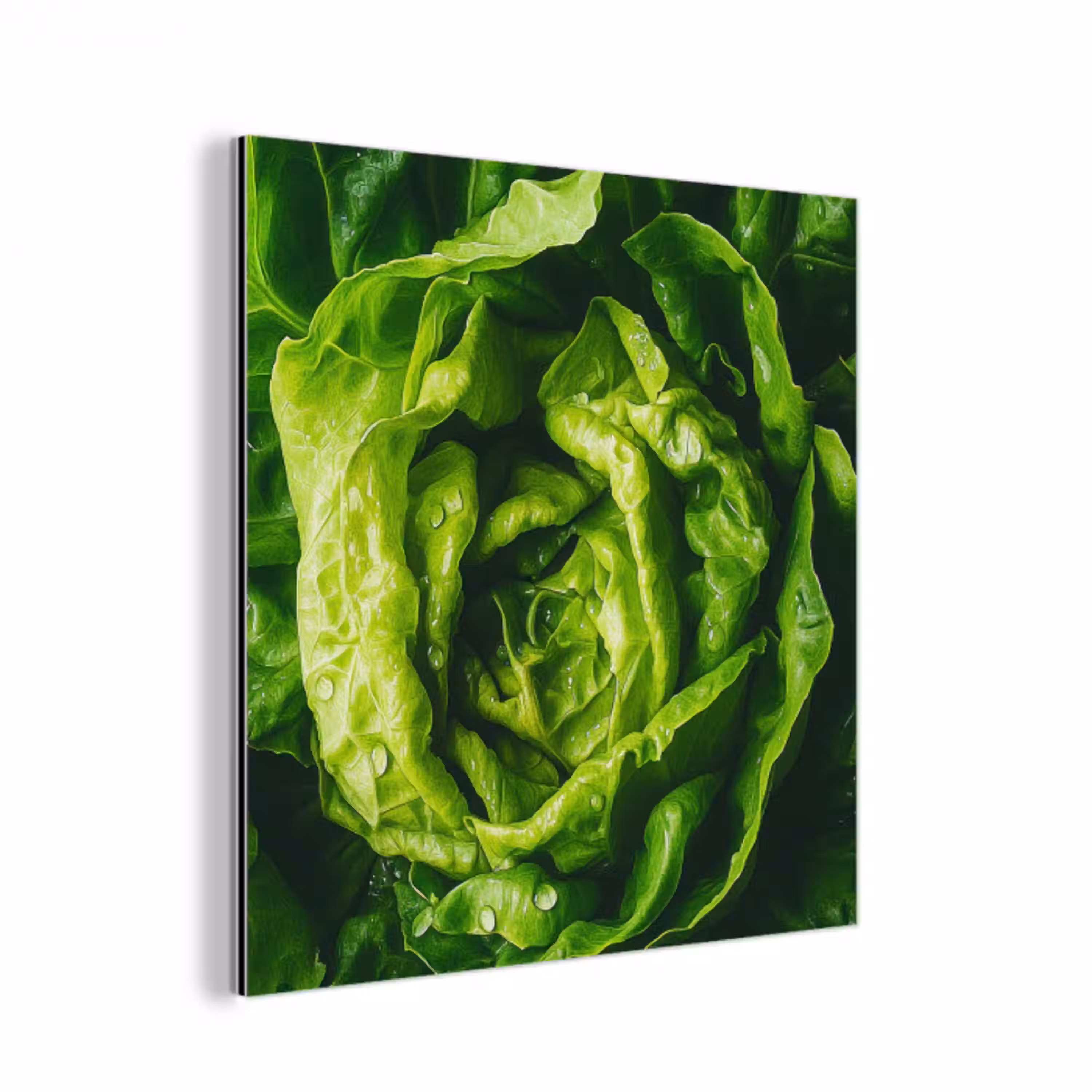 Groente - Sla - Groen aluminium wit klein -3d