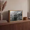 Schotse hooglander - Kalf - Zwart - Wit Light Box met batterij (Wandlamp) middel -sfeer2