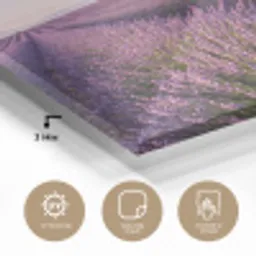 Lavendel - Landschap - Sereen - Paars plexiglas 5mm klein -sfeer2