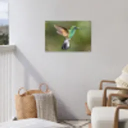 Kolibrie - Vogels - Veren tuinposter los doek klein -sfeer8