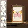 Vlinder - Illustratie - Roze Light Box met kabel (Tafellamp) klein -USP_NL