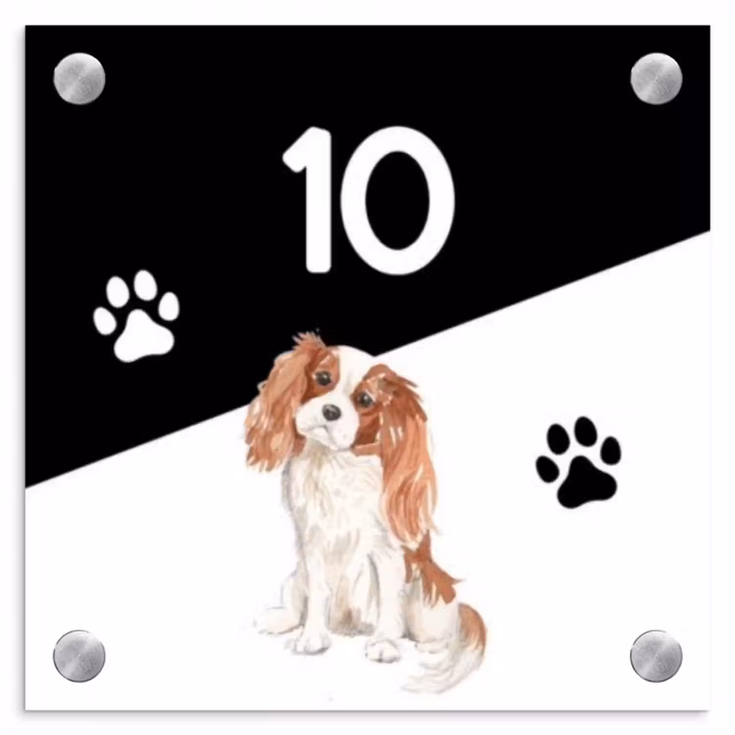 Namensschild Haustür Quadratisch - Schwarz und weiß - Haustier - Cavalier King Charles Spaniel