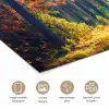 Bos - Zon - Natuur - Herfst poster papier klein -closeup_NL