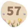 Gekleurde tulpen beige achtergrond - Traditioneel Naambord Organisch middel -3d