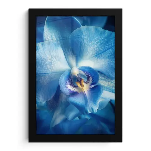 Blauw - Orchidee - Elegeant fotolijst zwart zonder passe partout klein -3d