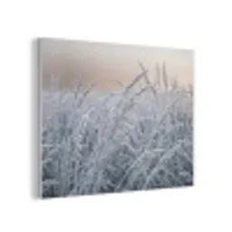 Rijp - Gras - Kristallen - Winter - Minimalistisch PET vilt klein -3d