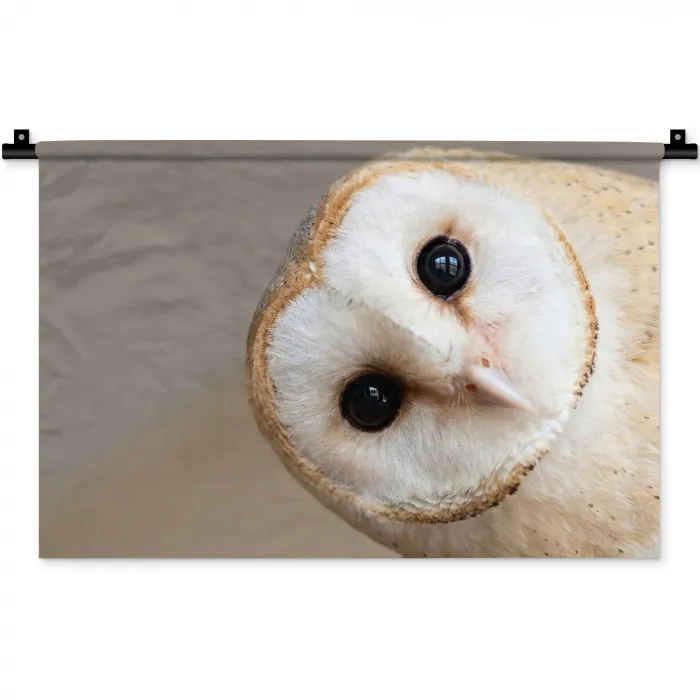 Uil - Bruin - Wit Wandkleed katoen klein -zz3d