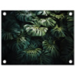Plant - Monstera - Lichtinval tuinposter los doek klein -3d
