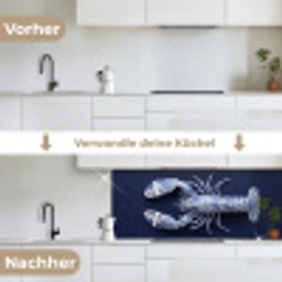 Kreeft - Porselein - Delfts - Blauw keuken achterwand 2 middel -voor-na_DE