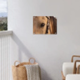 Paard - Oog - Bruin tuinposter los doek klein -sfeer8