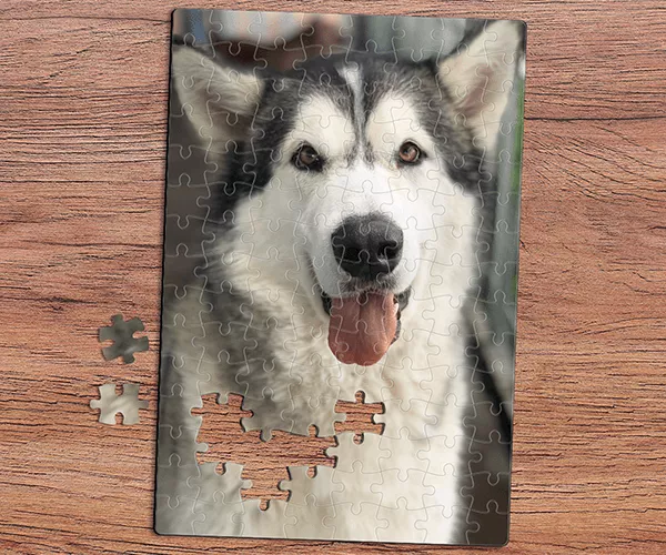 Puzzel met doos