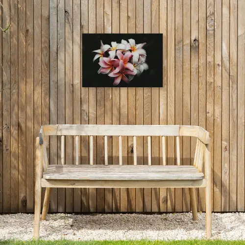 Bloemen - Roze - Zwart - Flora - Botanisch Tuinposter op houten frame 2 cm dik klein -sfeer4