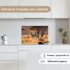 Zebra's - Savannelandschap - Gras keuken achterwand spatscherm klein -sfeer4_FR