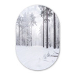 Bos - Sneeuw - Pad - Winter - Stilte Wandcirkel Ovaal Forex klein -3d