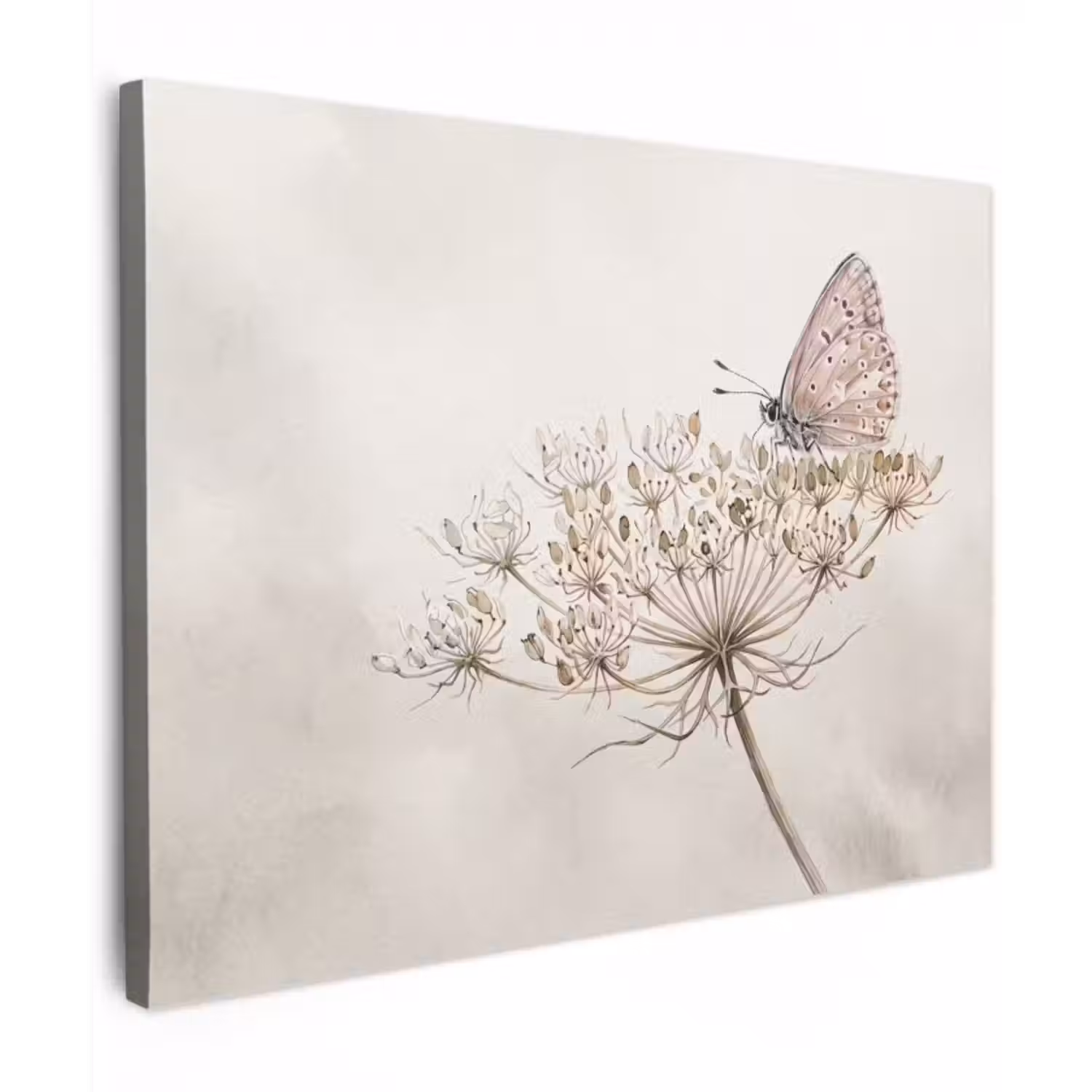 Canvas Print - Butterfly - Flower -Nature - Beige