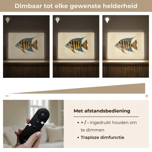 Vis - Tropisch - Strepen - Vinnen Light Box met batterij (Wandlamp) middel -USP_dimbaarNL