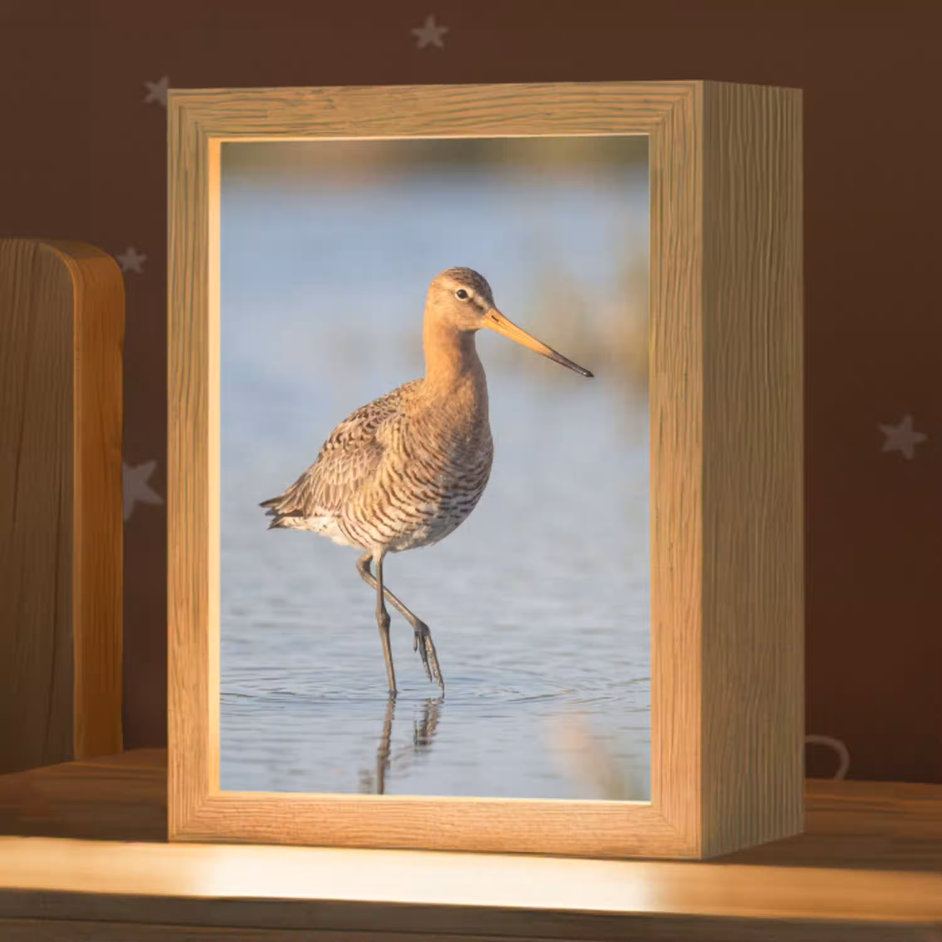 Vogel - Steltloper - Water - Natuur Light Box met kabel (Kinderlampje) klein -zzz_3d_website