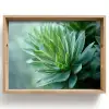 Blad - Plant - Groen - Textuur Dienblad Rechthoek middel -z3d_shopping