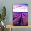 Lavendel - Bomen - Paars - Bloemen canvas 2cm klein -sfeer4