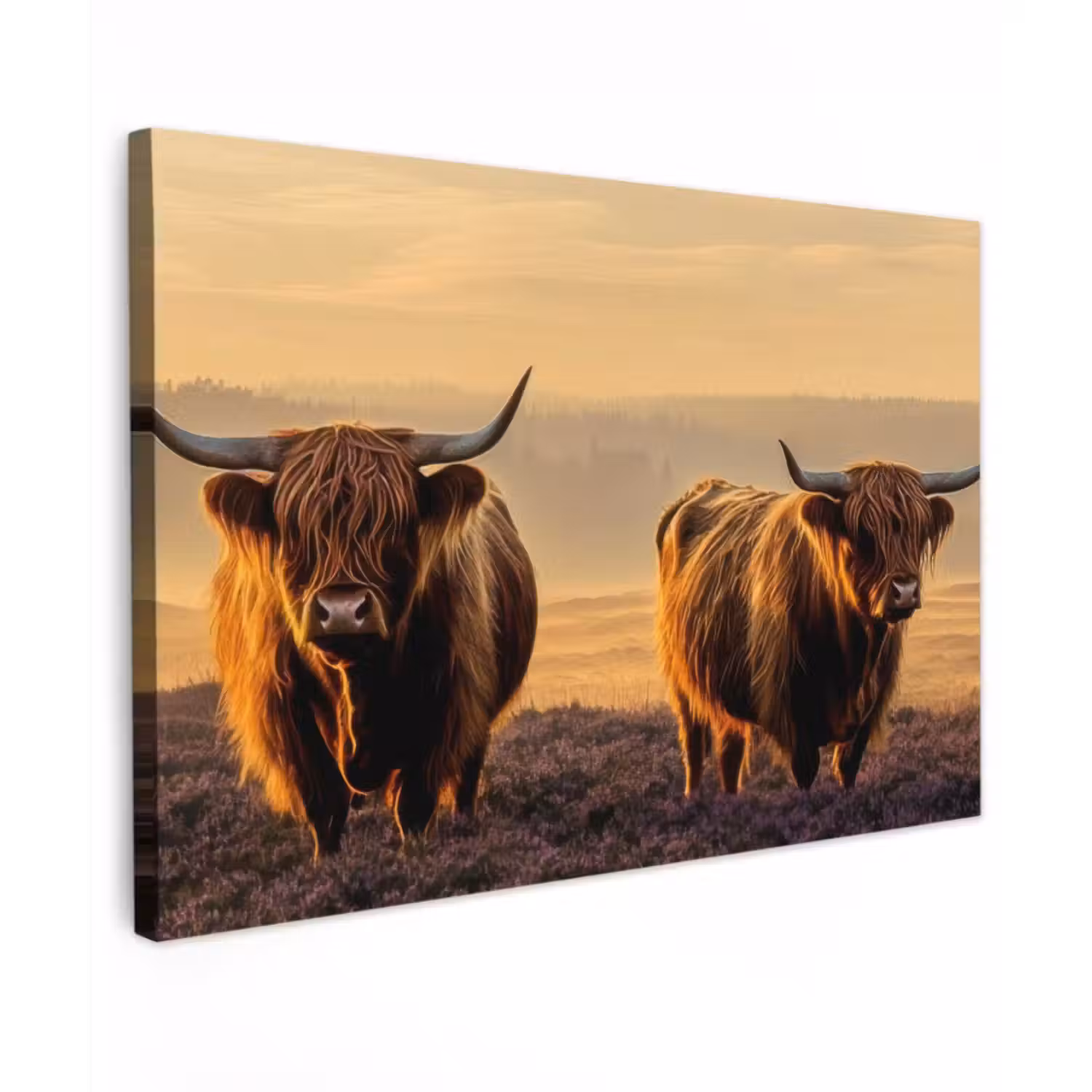 Canvas schilderij - Schotse hooglanders - Heide - Landschap - Dieren