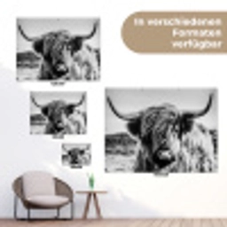 Koe - Schotse hooglander - Zwart - Wit - Dier - Natuur - Wild tuinposter los doek klein -Xsfeer9_DE