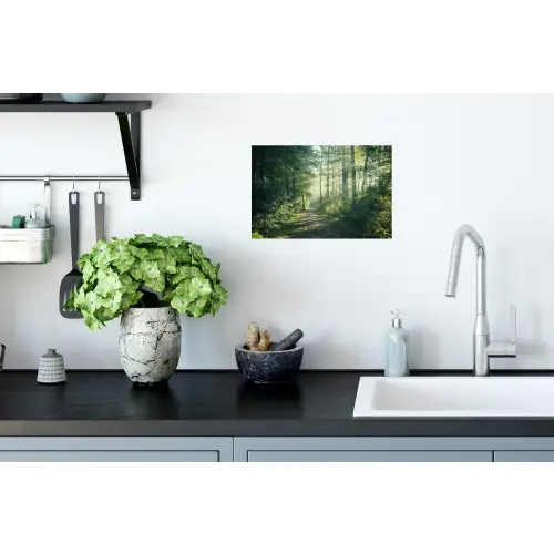 Bos - Pad - Zon - Bomen - Groen - Natuur Muursticker klein -keuken