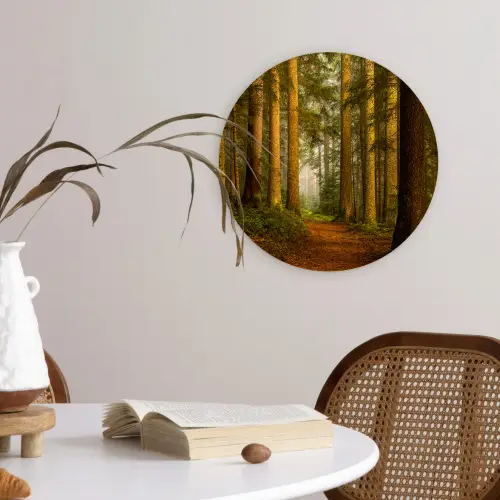 Bos - Natuur - Bomen - Landschap - Bladeren Wandcirkel kunststof plaat 5mm dik klein -sfeer4