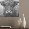 Schotse hooglander - Zwart - Wit - Gras PET vilt klein -sfeer6_closeup