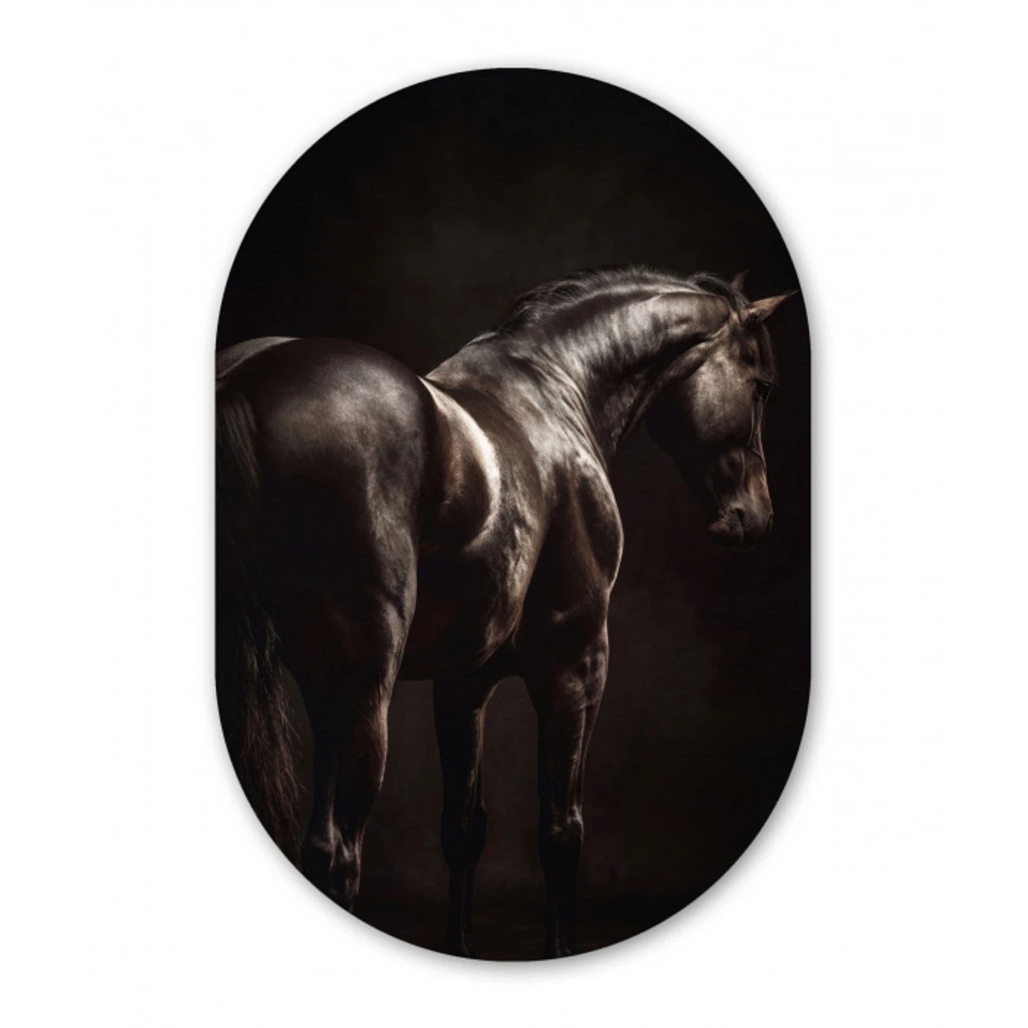 Krachtig - Paard - Donker Wandcirkel Ovaal Aluminium middel -3d