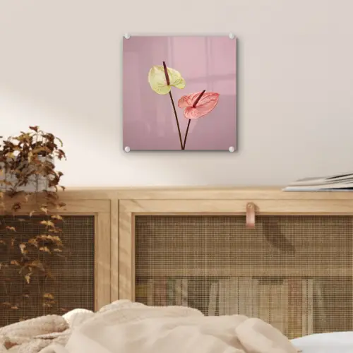 Bloemen - Anthuriums - Geel - Roze plexiglas 5mm klein -sfeer4