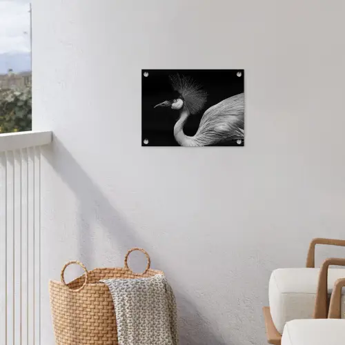 Kraanvogel - Zwart - Wit - Vogel - Dieren tuinposter los doek klein -sfeer8