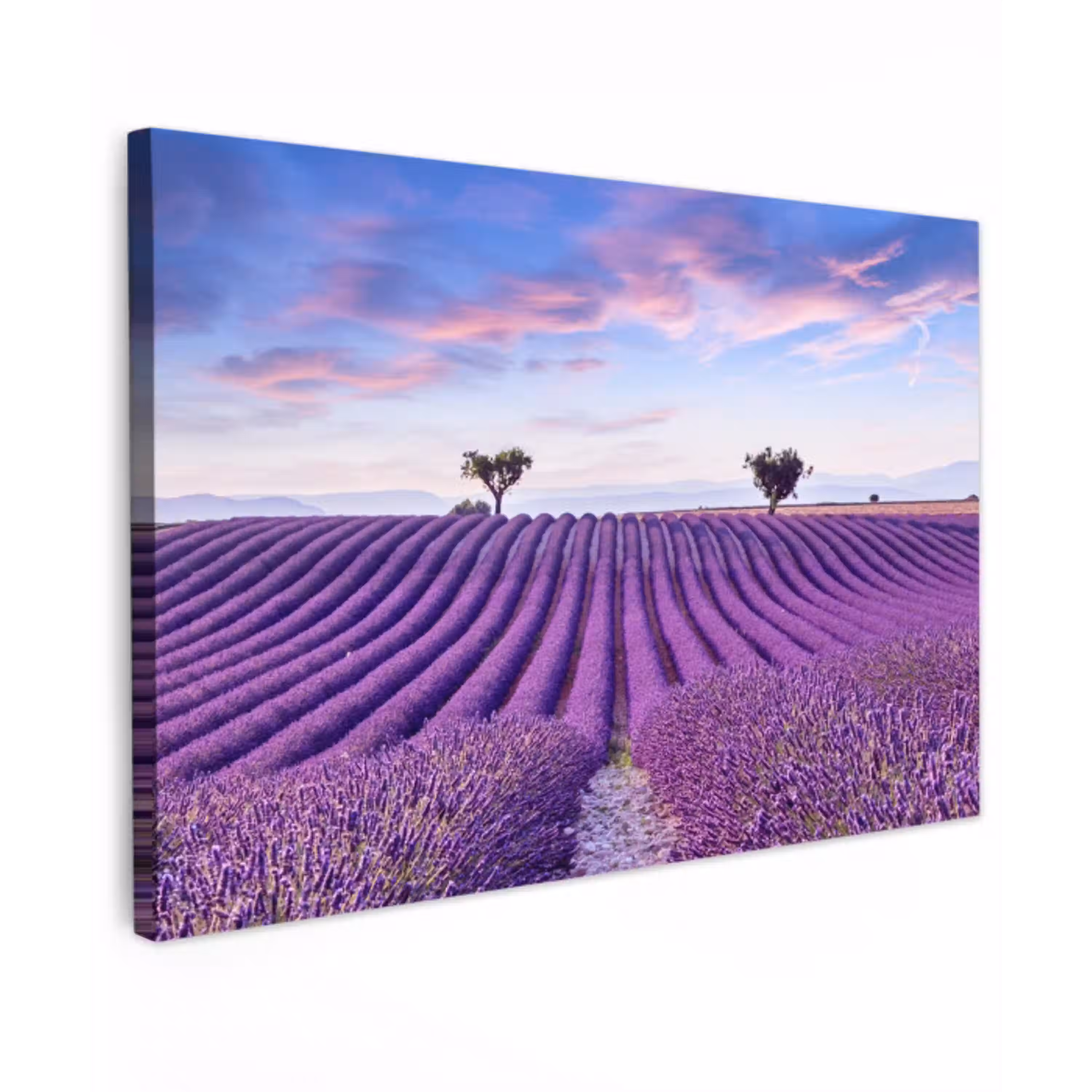 Lavendel - Natuur - Paars - Bomen - Bloemen Tuinposter op houten frame 2 cm dik klein -3d