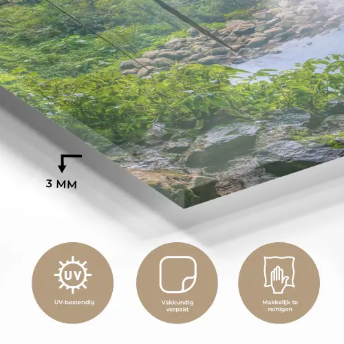 Jungle - Regenwoud - Water - Waterval - Planten plexiglas 5mm klein -sfeer2
