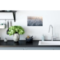Rijp - Gras - Kristallen - Winter - Minimalistisch Muursticker klein -keuken