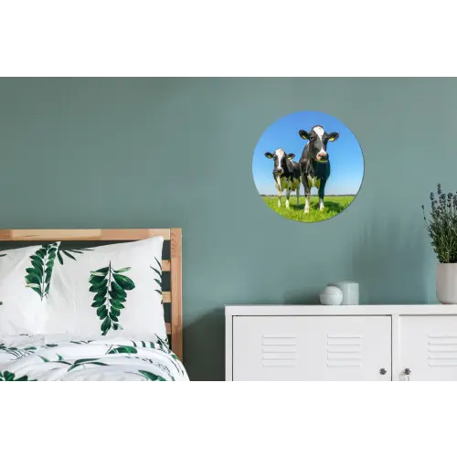 Koeien - Weiland - Gras - Dieren - Boerderij Wandcirkel aluminium klein -slaapkamer