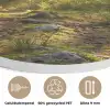 Bos - Zonlicht - Gras Akoestische PET Vilt - Rond klein -closeup_NL