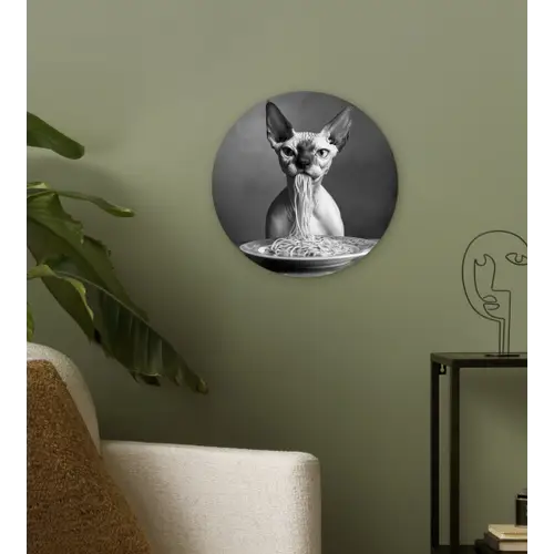 Sphynx - Kat - Dieren - Humor - Spaghetti - Zwart Wit Wandcirkel plexiglas klein -sfeer3