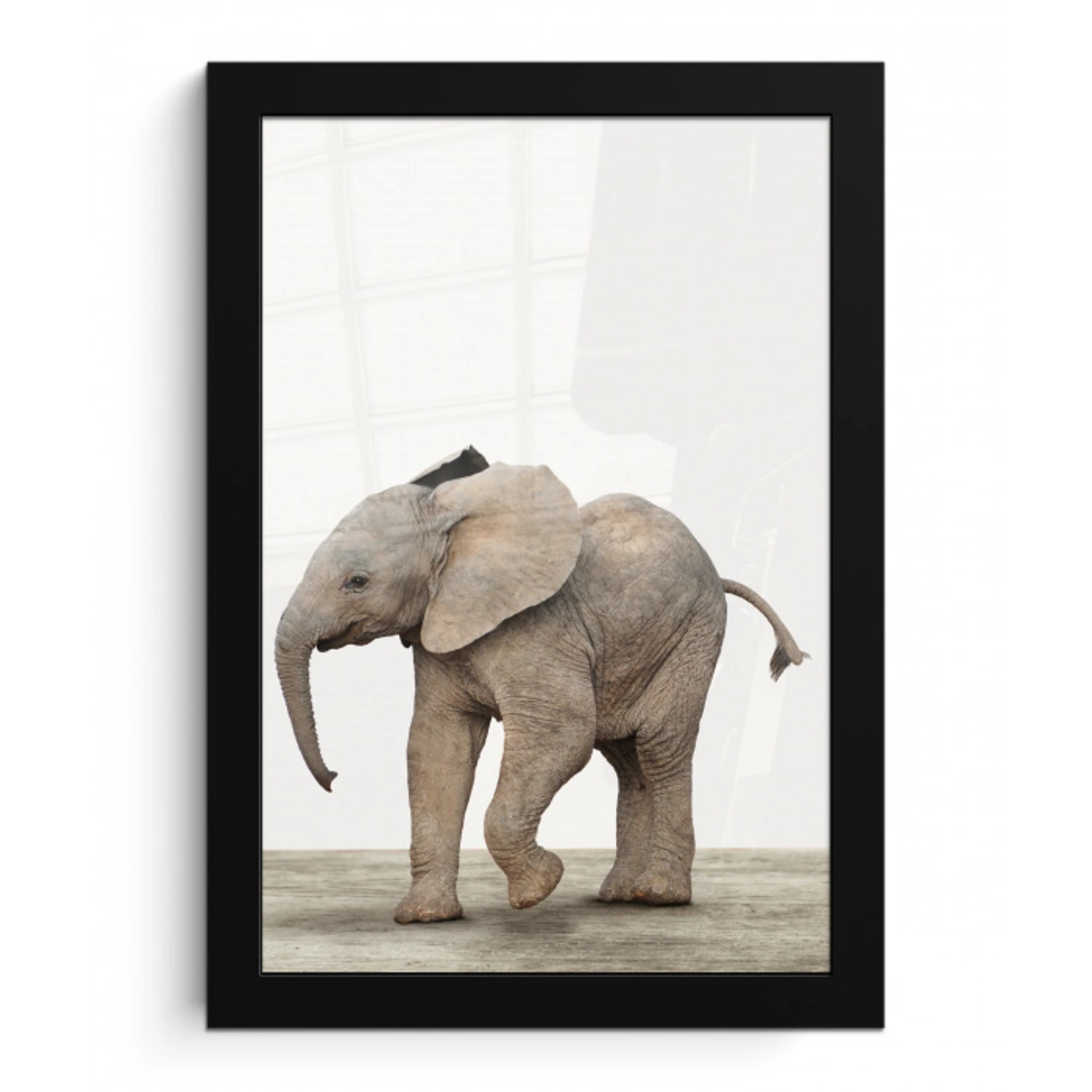 Baby olifant - Dieren - Olifant - Kinderen - Meiden - Jongens fotolijst zwart zonder passe partout klein -3d