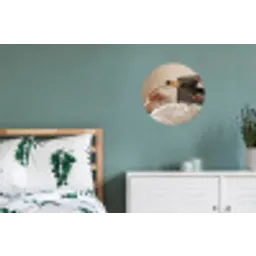Champagne - Bed - Bubbels Wandcirkel aluminium klein -slaapkamer